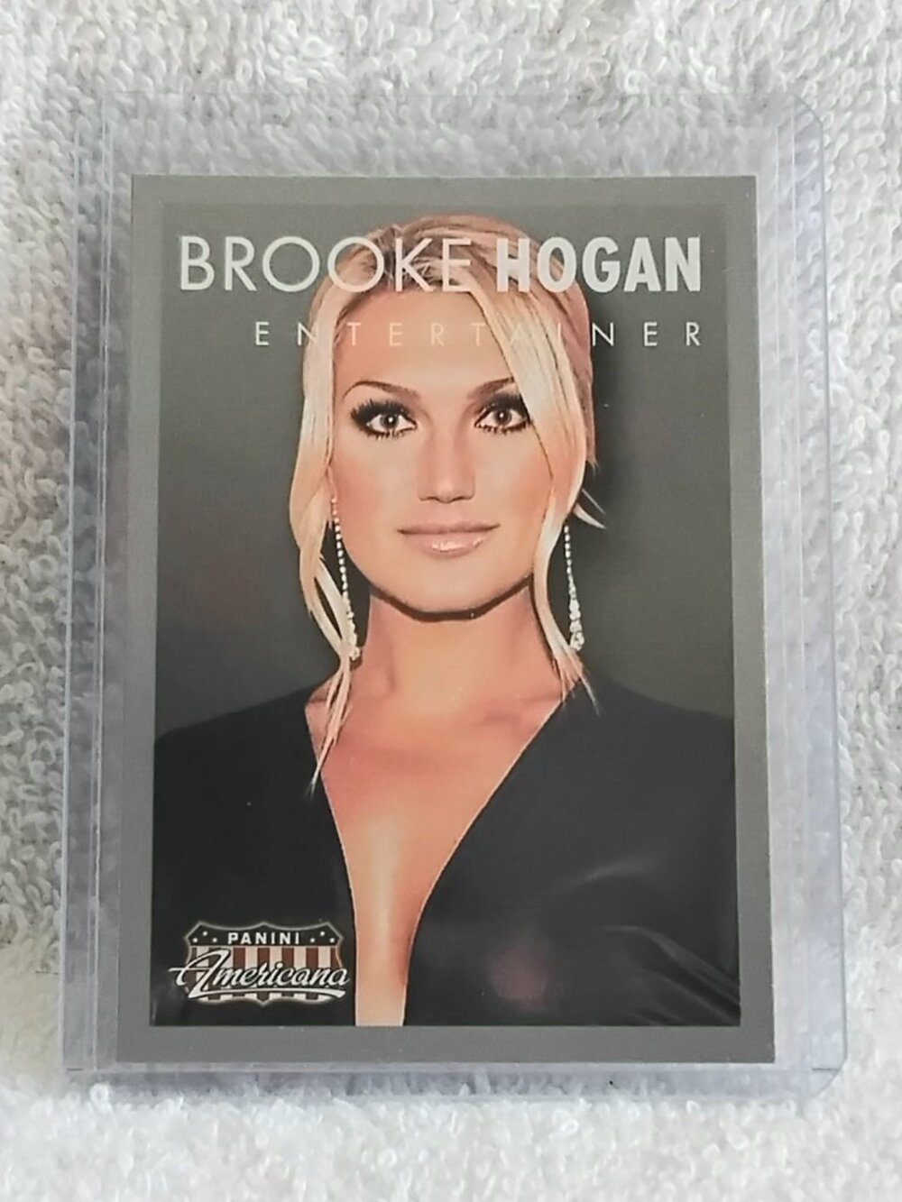 5/$20 Mint 2015 Panini Brooke Hogan Entertainer Americana Card No. 15!!